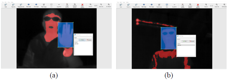 圖4. 物體標注示例:(a) 手部 和 (b) 人物